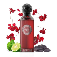 Anfar 1950 Fouco Extrait de Parfum 100ml | Sophisticated Men's Fragrance with Lemon Zest & Pineapple