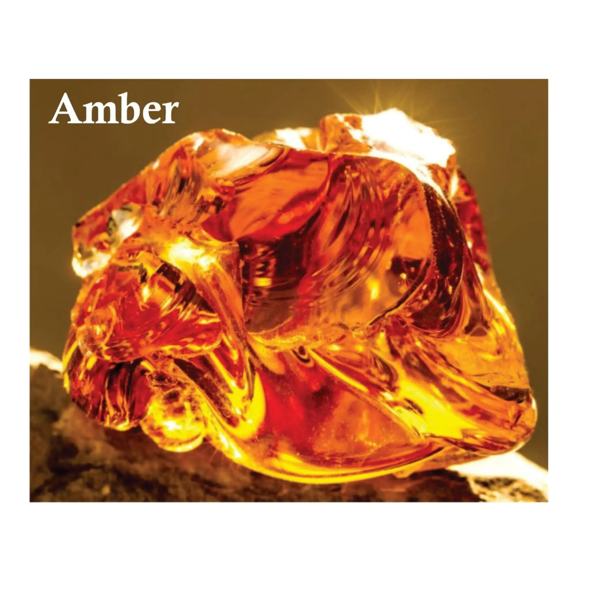 Turbine Eau de Parfum 100ml | Unisex Amber & Vanilla Fragrance by Sapphire’s Choice